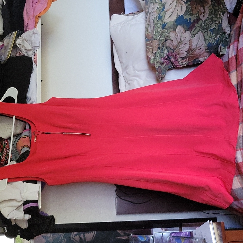 Red, Tahari sleeveless dress. Side zipper